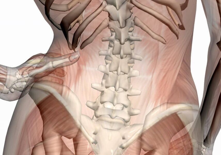 bolečine v ledvenem delu hrbtenice